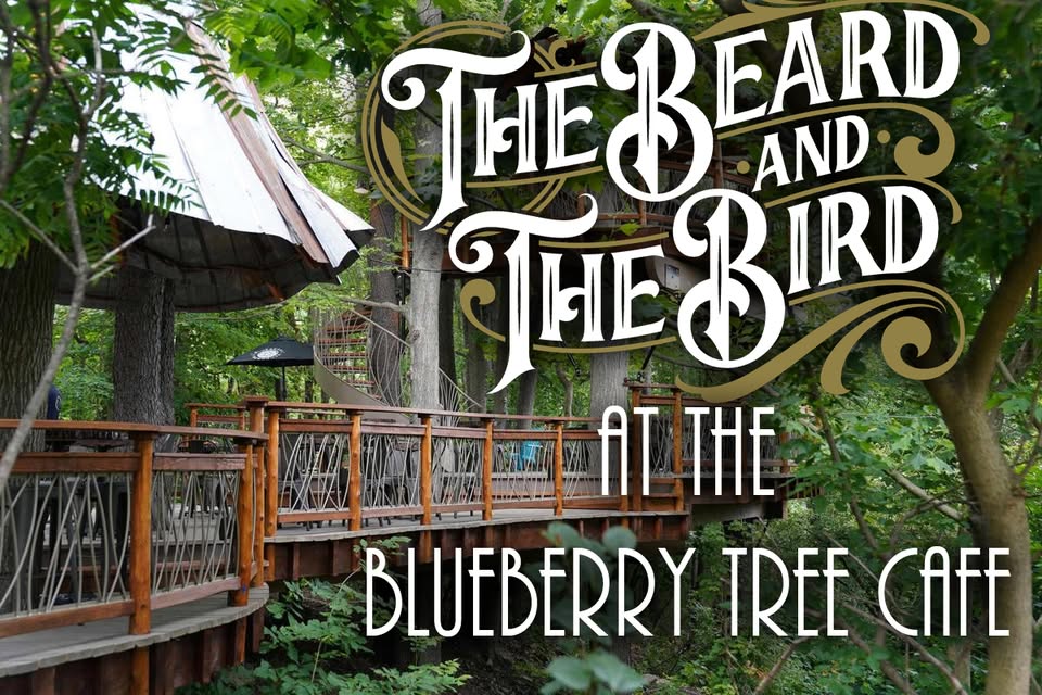 The Beard and the Bird at Blueberry Treehouse Cafe event image